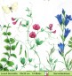 Preview: Sophia Drescher - Sommerwiese mit Schmetterling - 1 Lunch Serviette