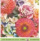 Preview: Dahlien und Hortensien - 1 Lunch Serviette