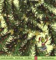 Preview: Grinch schmückt den Weihnachtsbaum - 1 Lunch Serviette - ganzes Motiv
