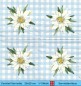 Preview: Edelweiß auf blauweiss karriertem Grund - 1 Cocktail Serviette