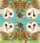 Preview: Eule zwischen Blumen auf blau - 1 Lunch Serviette