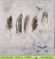 Preview: Zarte Federn mit Schmetterling auf grau - 1 Lunch Serviette