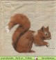 Preview: Eichhörnchen und Fuchs - 1 Lunch Serviette