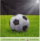 Preview: Fußball Kick it! - 1 Lunch Serviette
