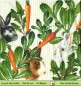 Preview: Hasen zwischen Möhren und Rukola - 1 Lunch Serviette