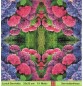 Preview: Hortensien in rosa und blau - 1 Lunch Serviette