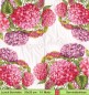 Preview: Große Hortensienblüten in lila und rosa - 1 Lunch Serviette - halbes Motiv