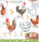 Preview: Huhn und Hahn in der Hühnerfarm - 1 Lunch Serviette