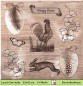 Preview: Huhn Hase und Eier auf beige - 1 Lunch Serviette