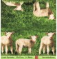 Preview: Kleines Schaf im Gras - 1 Lunch Serviette