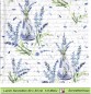 Preview: Lavendel in Flaschen auf Schrift - 1 Lunch Serviette