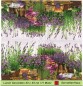 Preview: Lavendel in Töpfen und Lavendelsäckchen - 1 Lunch Serviette