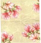 Preview: Magnolien creme - 1 Lunch Serviette