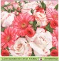 Preview: Margeriten und Rosen - 1 Lunch Serviette
