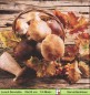 Preview: Pilze und Eichenblätter auf einen Holztisch - 1 Lunch Serviette