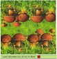 Preview: Pilze im Gras - 1 Lunch Serviette - halbes Motiv