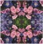 Preview: Rosa Rosen Hortensien und Astern - 1 Lunch Serviette