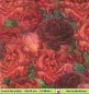 Preview: Viele rote Rosen - 1 Lunch Serviette
