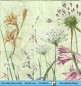 Preview: Wilde Blumen und Gräser - 1 Cocktail Serviette