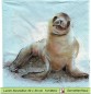 Preview: Seehunde am Strand - 1 Lunch Serviette