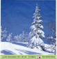 Preview: Tanne mit Schnee - 1 Lunch Serviette