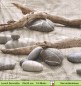 Preview: Strand mit Treibholz und Steinen - 1 Lunch Serviette