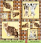 Preview: Katzen auf Karos - 1 Lunch Serviette - ganzes Motiv