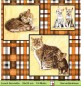Preview: Katzen auf Karos - 1 Lunch Serviette - ganzes Motiv