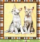 Preview: Katzen auf Karos - 1 Lunch Serviette - ganzes Motiv