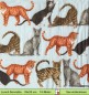 Preview: Katzenrassen auf blau - 1 Lunch Serviette