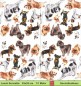 Preview: Verschiedene Hunde Pudel Pinscher  Chihuahua und mehr - 1 Lunch Serviette - halbes Motiv