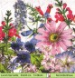 Preview: Wiesenblumen verschiedene - 1 Lunch Serviette