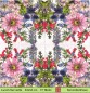 Preview: Wiesenblumen verschiedene - 1 Lunch Serviette