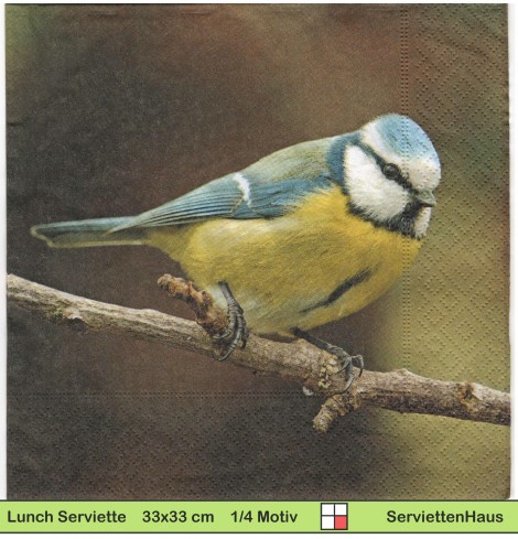 Ternberger - Blaumeise auf Ast sitzend - 1 Lunch Serviette