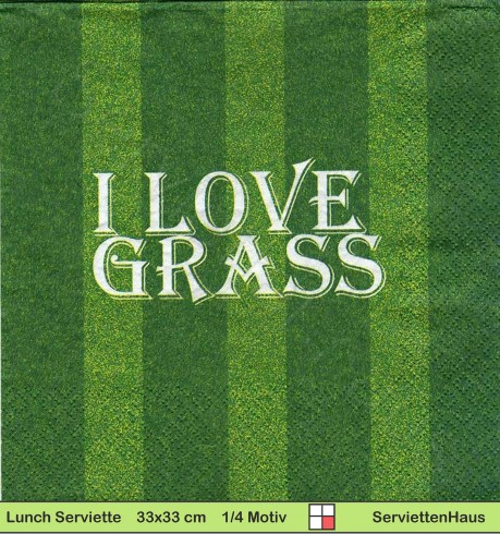Fußball I Love Gras - 1 Lunch Serviette