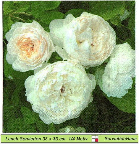 Gefüllte weiße Rosen - 1 Lunch Serviette
