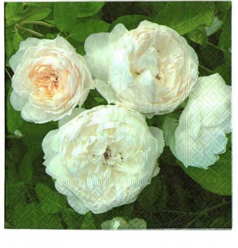 Gefüllte weiße Rosen - 1 Lunch Serviette