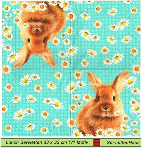 Hase zwischen Margeriten - 1 Lunch Serviette