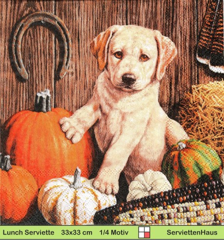 Golden Retriever Hund mit Kürbissen Mais und Hufeisen - 1 Lunch Serviette