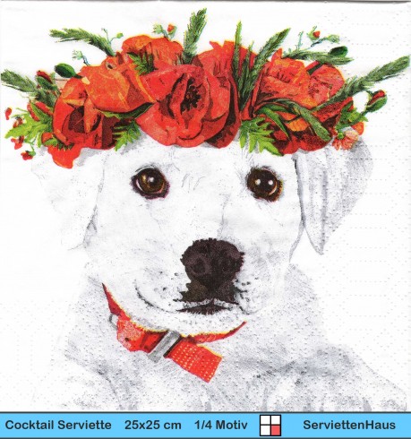 Hund weißer Retriever mit Mohnblumenkranz - 1 Cocktail Serviette