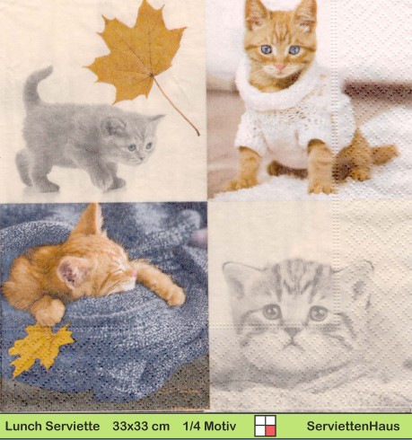 Katzen im Herbst - 1 Lunch Serviette