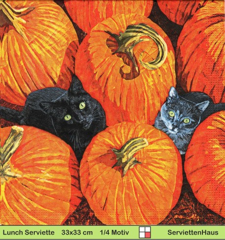 Zwei schwarze Katzen zwischen Kürbissen - 1 Lunch Serviette
