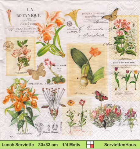 Kleine botanische Blumen Kollektion - 1 Lunch Serviette