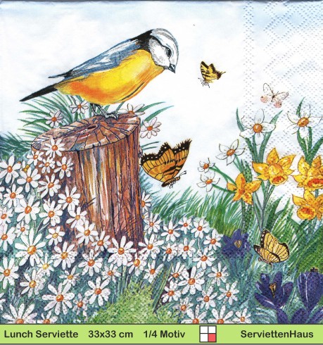 Kohlmeise in der Sommerwiese mit Schmetterling - 1 Lunch Serviette