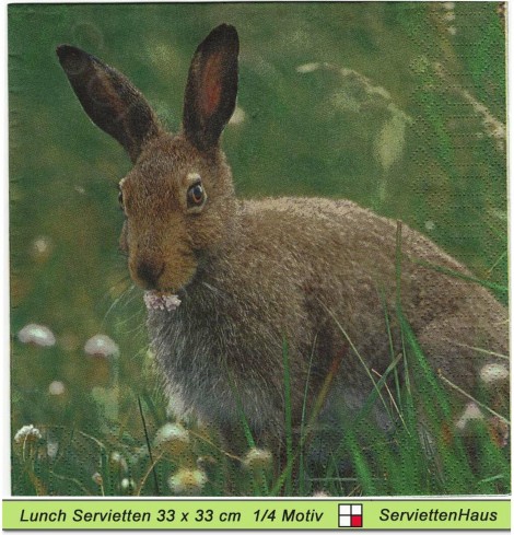 Roger der Hase - 1 Lunch Serviette