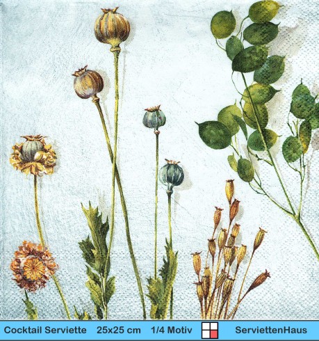 Trockenblumen auf zartem blau - 1 Cocktail Serviette