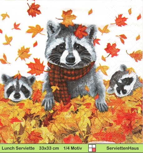 Waschbären im Herbstlaub - 1 Lunch Serviette