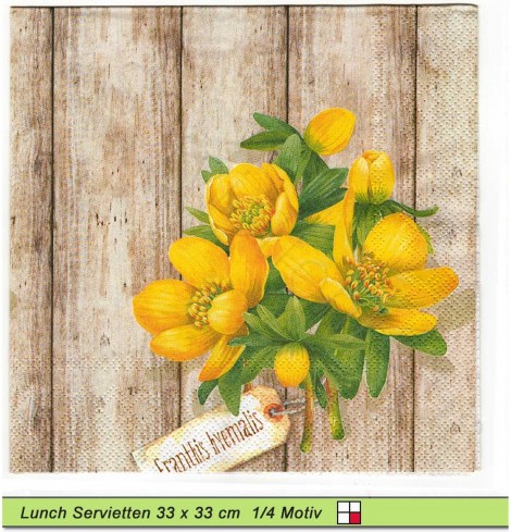 Winterling (Eranthis hyemalis) auf Holz liegend - 1 Lunch Serviette