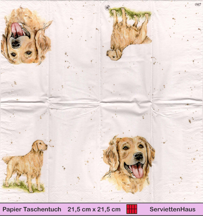Farmfreunde Hund Golden Retriever  - 1 Taschentuch