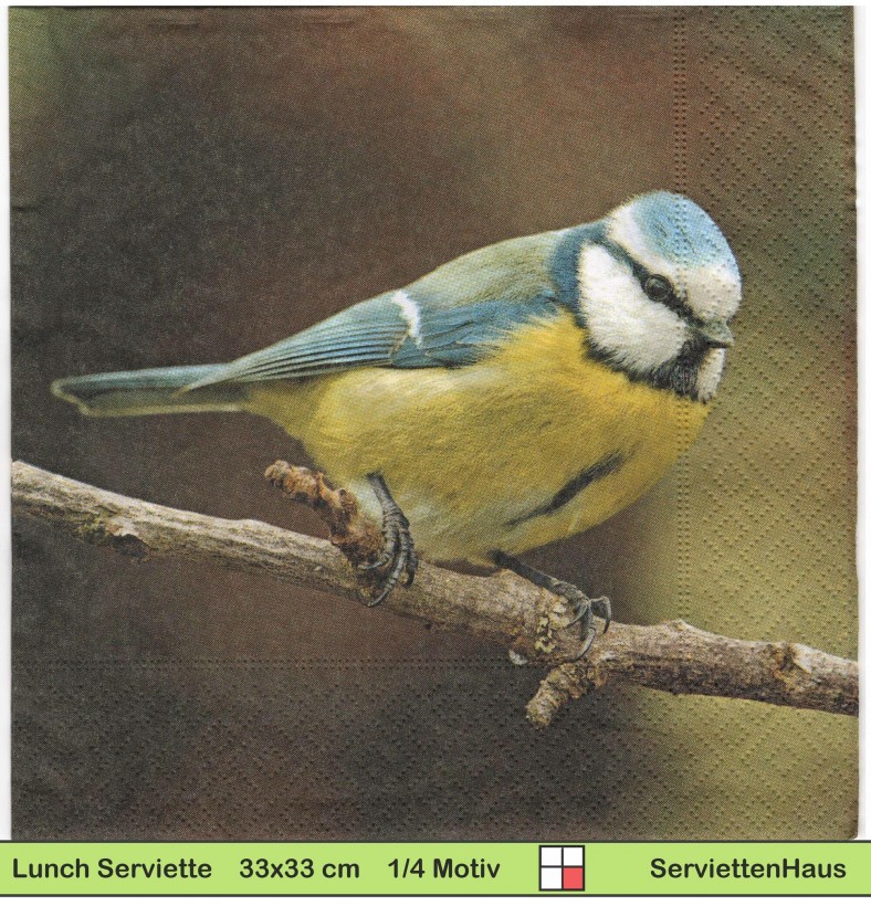 Ternberger - Blaumeise auf Ast sitzend - 1 Lunch Serviette
